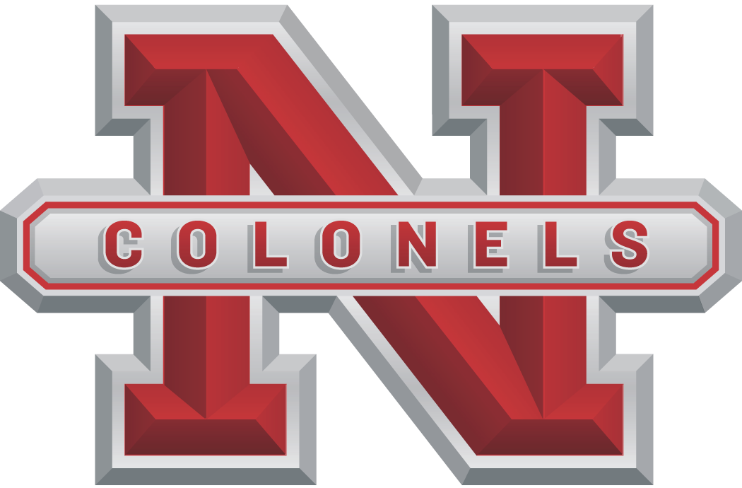Nicholls State Colonels 2005-2008 Alternate Logo diy fabric transfer
